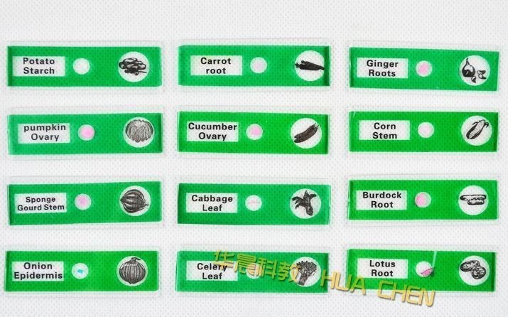 48 Pcs Prepared Microscope Slides Insects Animals Plants Flowers Sample