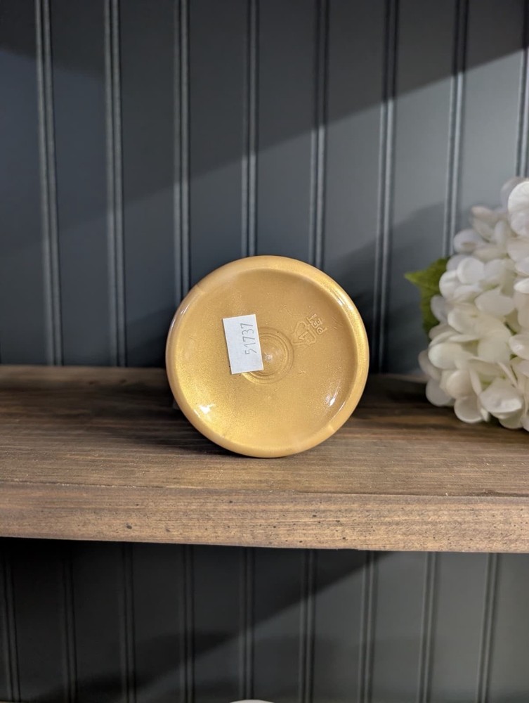 Fusion Gold Paint 250ml 8.45oz
