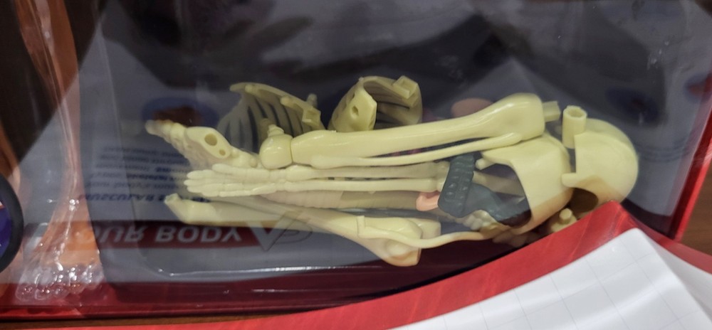 Abacus Brands Virtual Reality Human Body Learning Activity Set VR Goggles