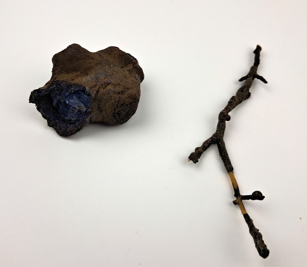 Once Upon a Time - TV Prop - Night Root pieces