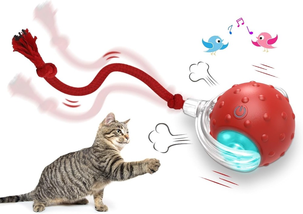 Interactive Cat Toy Ball – Fast Rolling, Chirping, Motion-Activated, Red