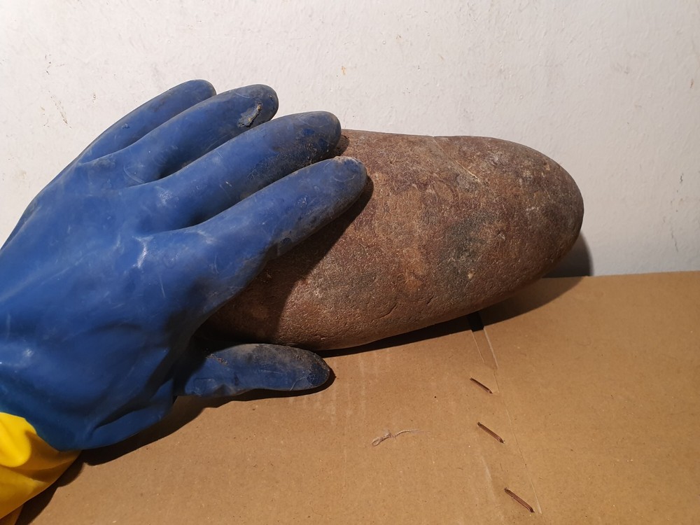 Fossil Macroolithus yaotunensis dinosaur egg fossil specimen