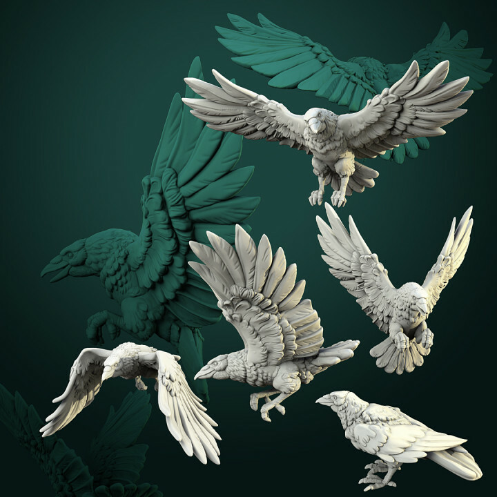 Crow Bundle | D&D DnD | RPG | Mini