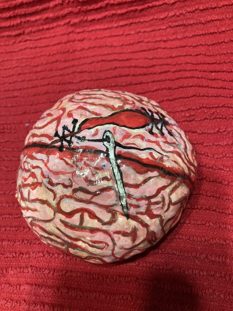 Brain, Abnormal, Abby Normal, hand painted w/acrylics and gloss
