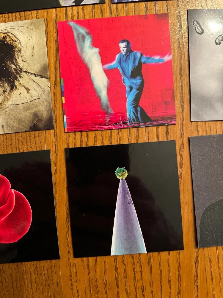 Peter Gabriel fridge magnets