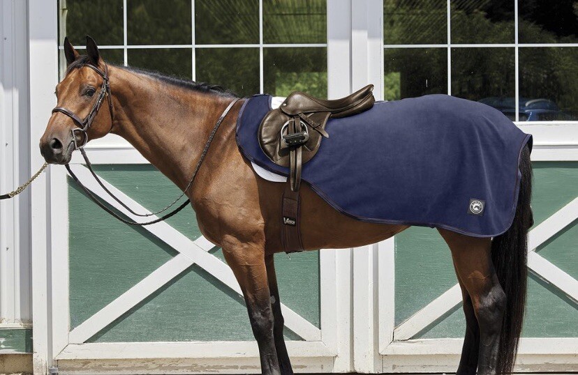 Riders International Navy Blue Quartersheet