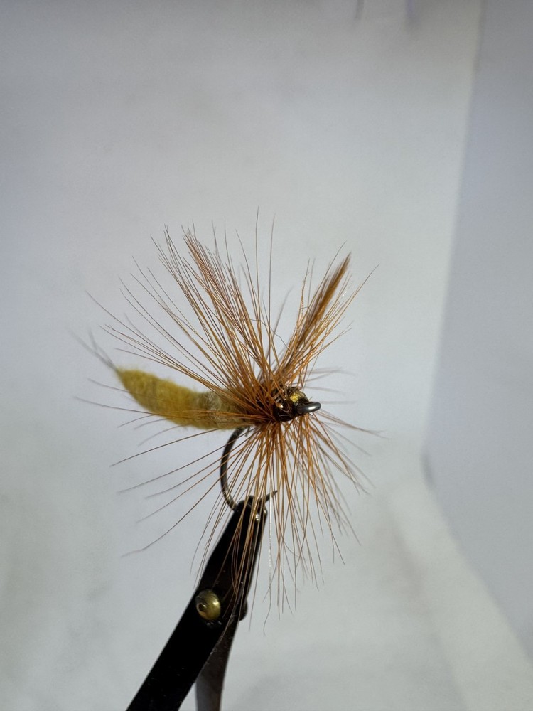 Hexagenia Size 10
