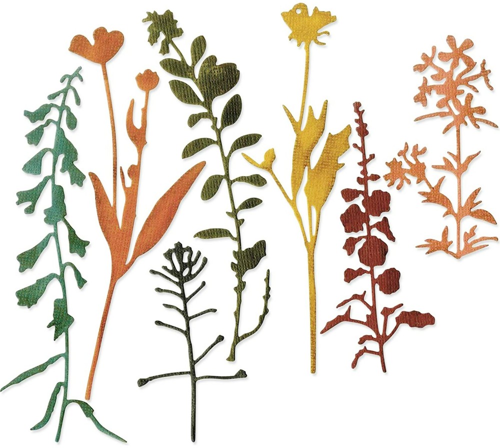 Sizzix Thinlits Wildflowers #2 #661808 7pk set Retail $22.99 designer Tim Holtz