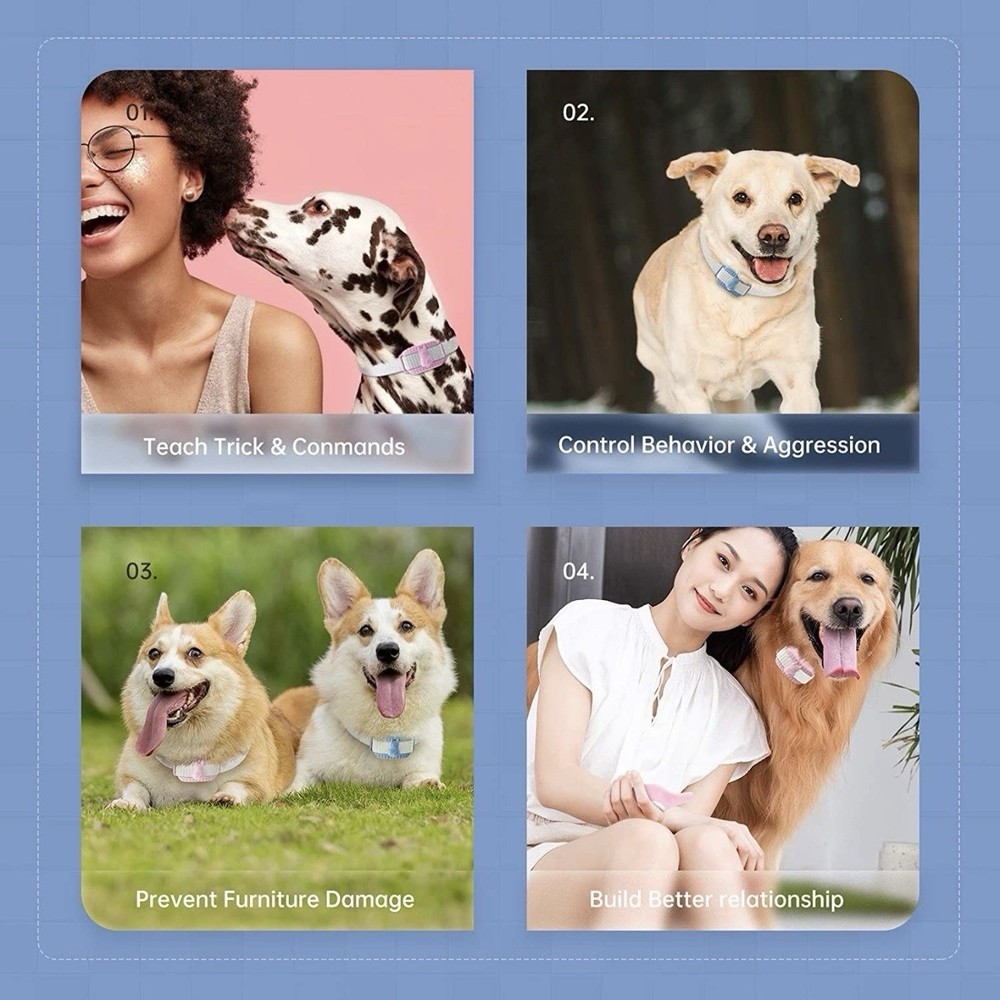 Pedono Dog Training Collar