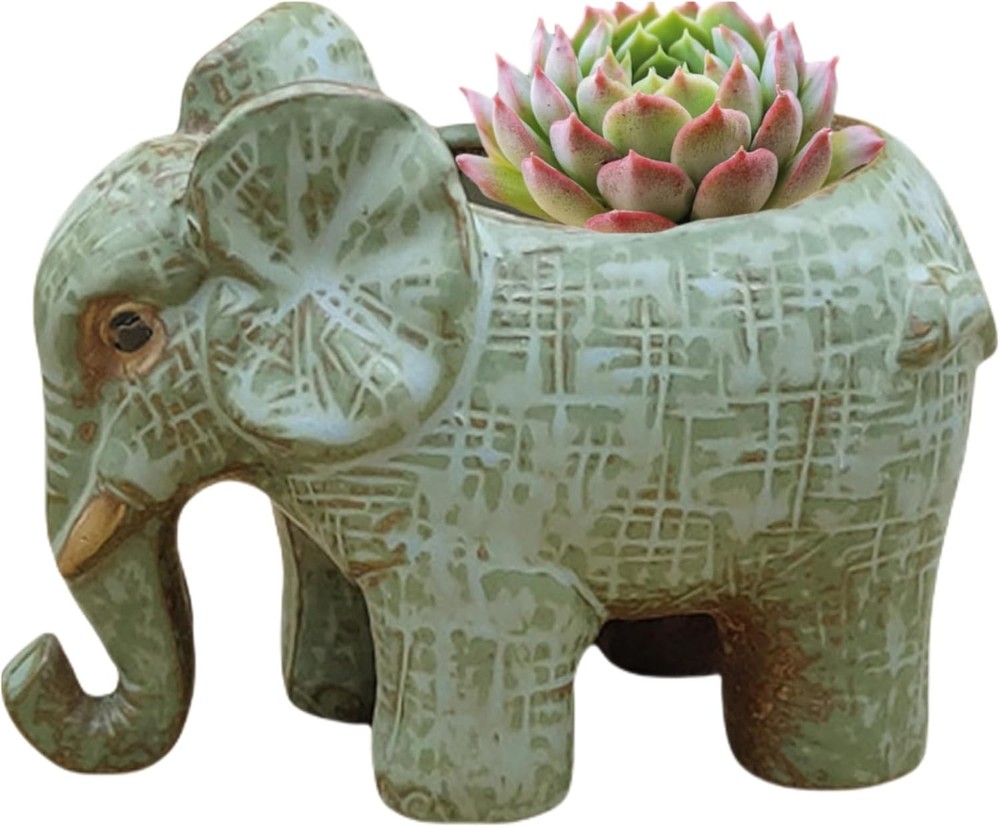 Cute elephant-shaped ceramic succulent planter.