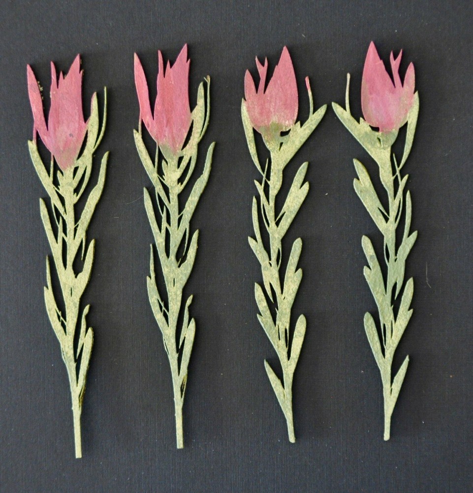 Dusty Attic Chipboard 3x6 - Proteas #1 Small, DA2474