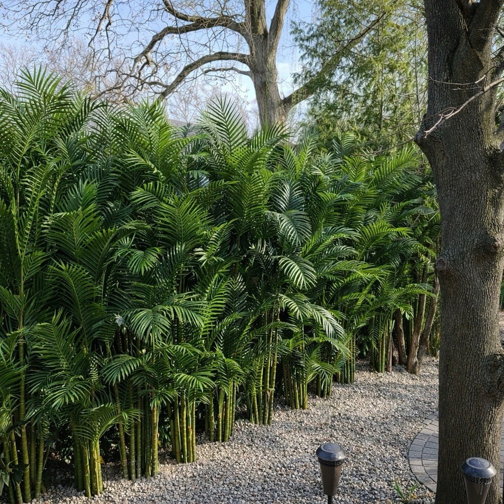 9’ Areca Palm UV Resistant Artificial Tree (Indoor/Outdoor).