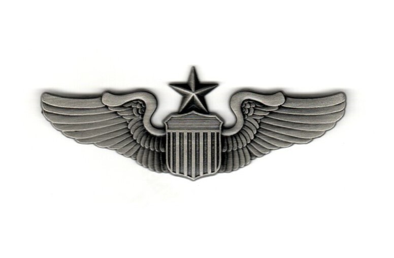 USAF Senior Pilot Wings.