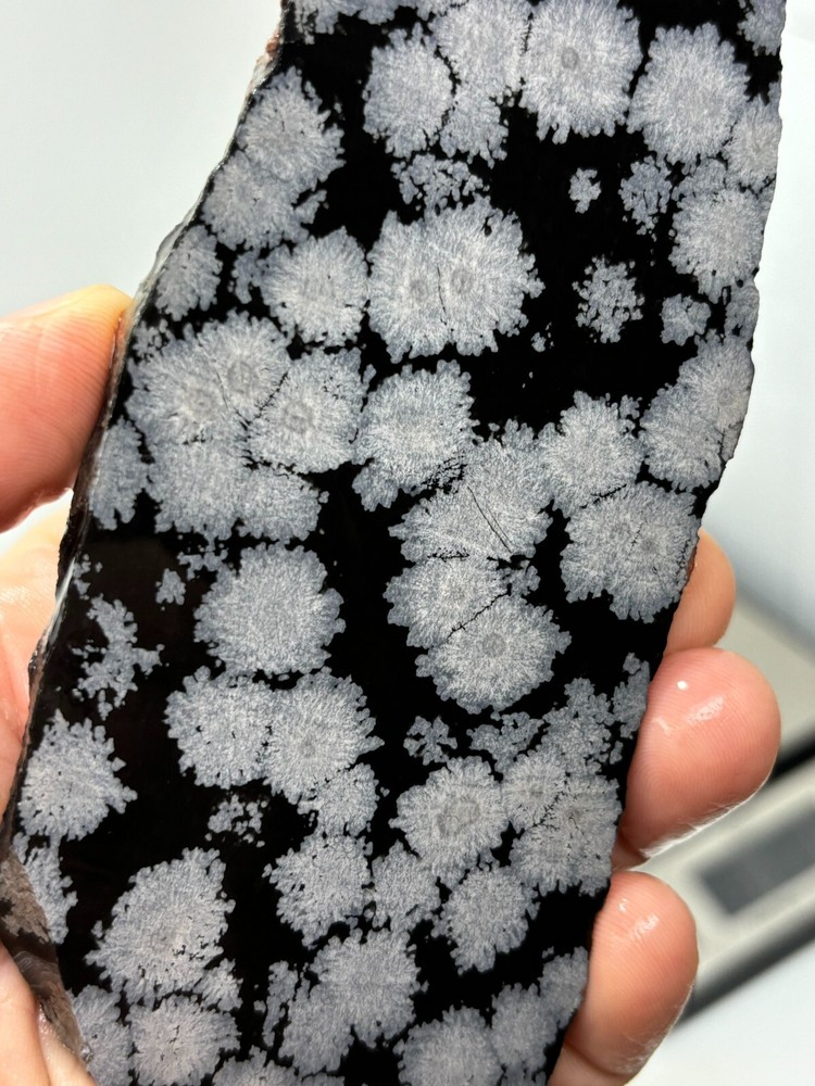 Flower Obsidian (large snowflake) Cabbing Knapping Collecting Combo Ship Avail