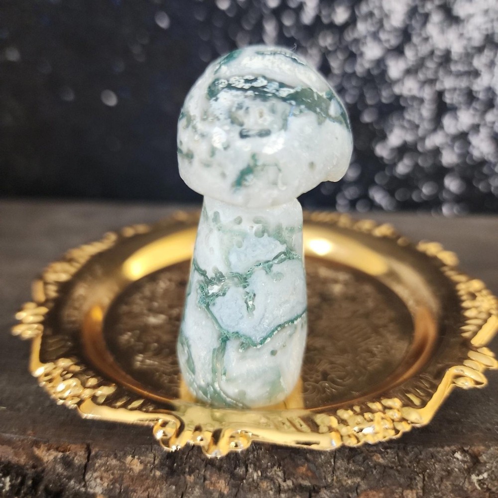 Tree Agate Mushroom