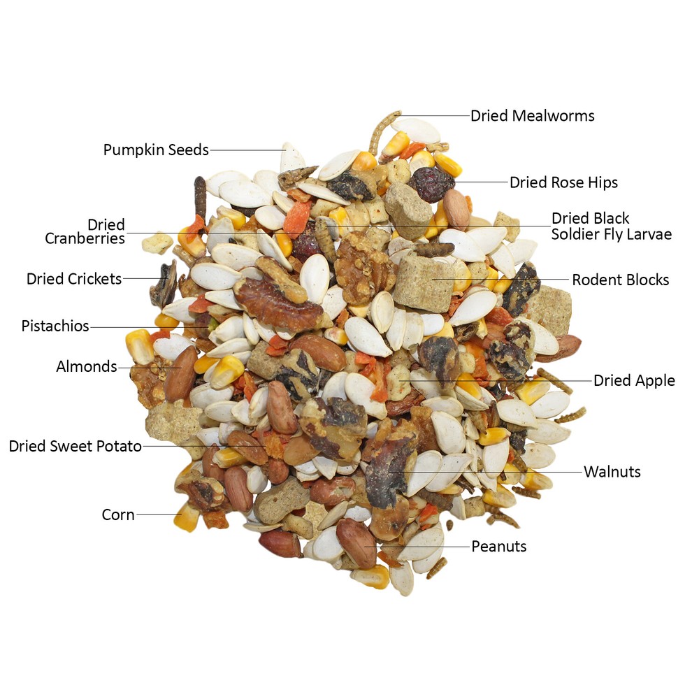 Starter Package for Squirrels