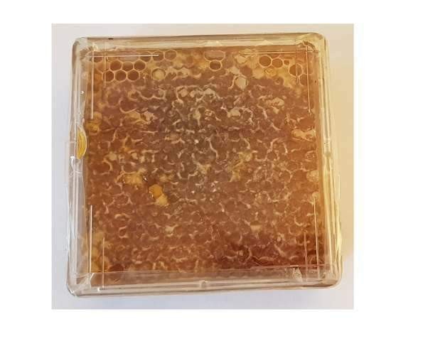 HONEYCOMB PLASTIC FRAMES WITH 6 HONEYCOMB BOXES