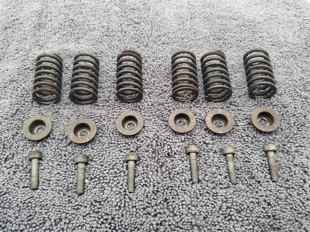 DUCATI 749S OEM CLUTCH SPRING KIT