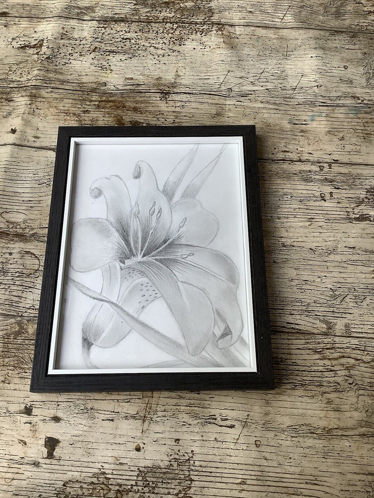 Lilly Drawing Picture