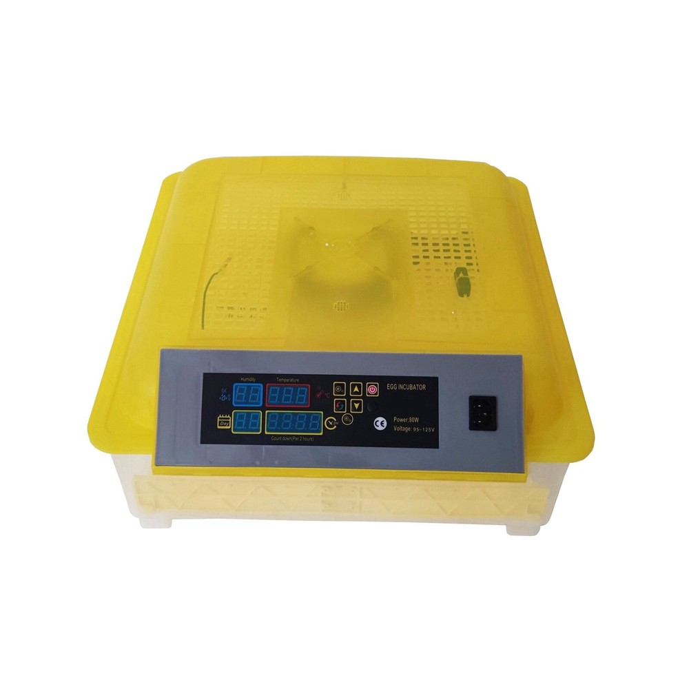 110V 48 Eggs Fully Automatic Egg Incubator
