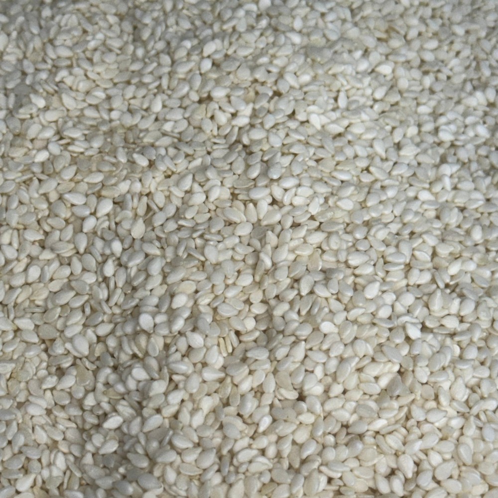 BAKESENSE Hulled Sesame Seeds 10 Lbs 73426