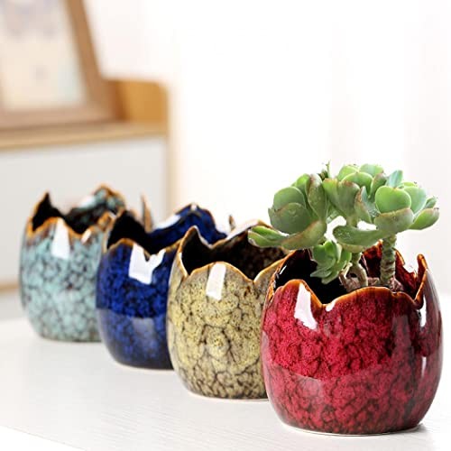 Succulent Pots with Drainage Half Dragon Egg Shell Design Ceramic Dragon Egg-1