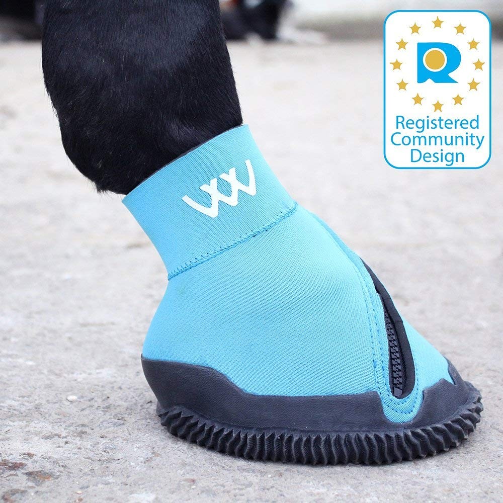 Hoof Boot 6