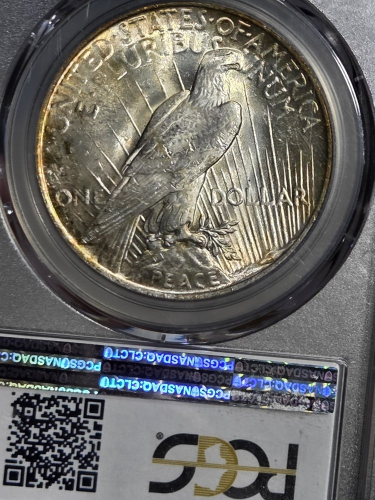 1923 $1 Peace Dollar PCGS MS63 Toned