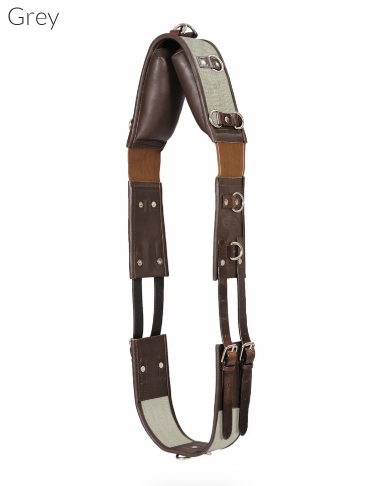 Henri de Rivel Training Surcingle