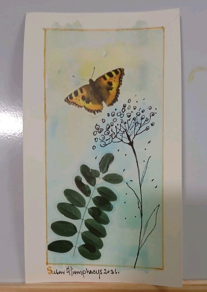 Butterfly And Wild Flower.