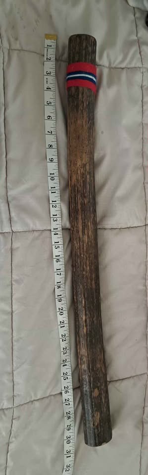 Authentic Chilean Cactus Rain stick 29inches