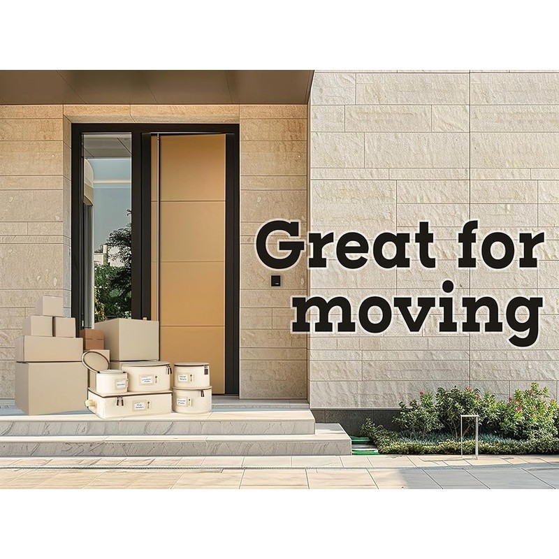 Hard Shell Dishware Storage Containers Padded Dividers Stackable Protection New