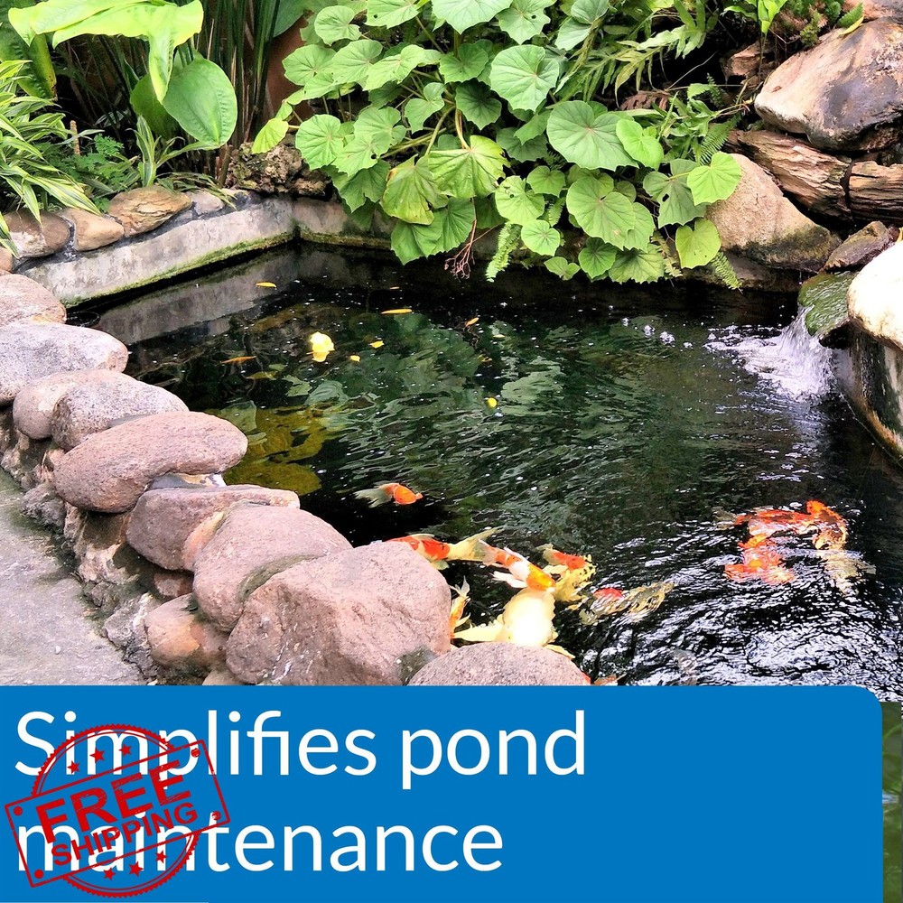 API Pond EcoFix Sludge Destroyer Water Clarifier 16oz