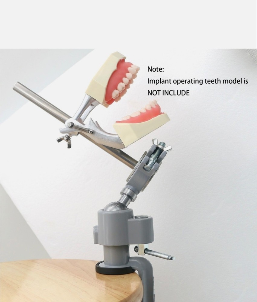Dental typodont mounting pole