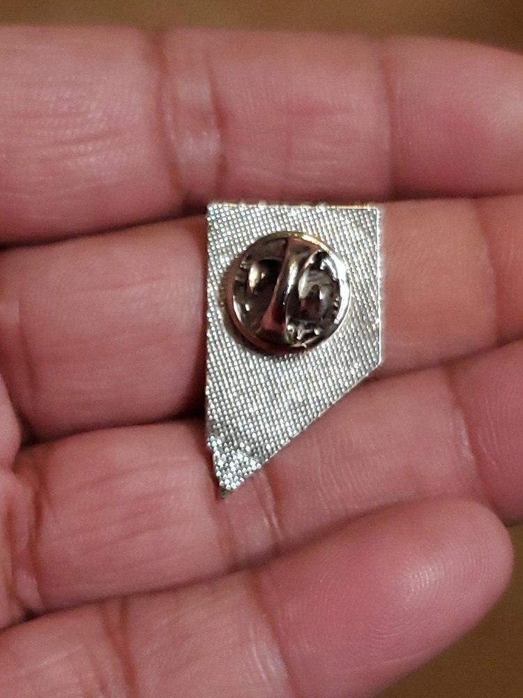 Nevada Combat Excellence Pin