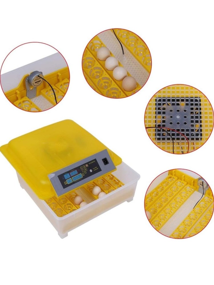 Incubator 48 eggs (para gallos)
