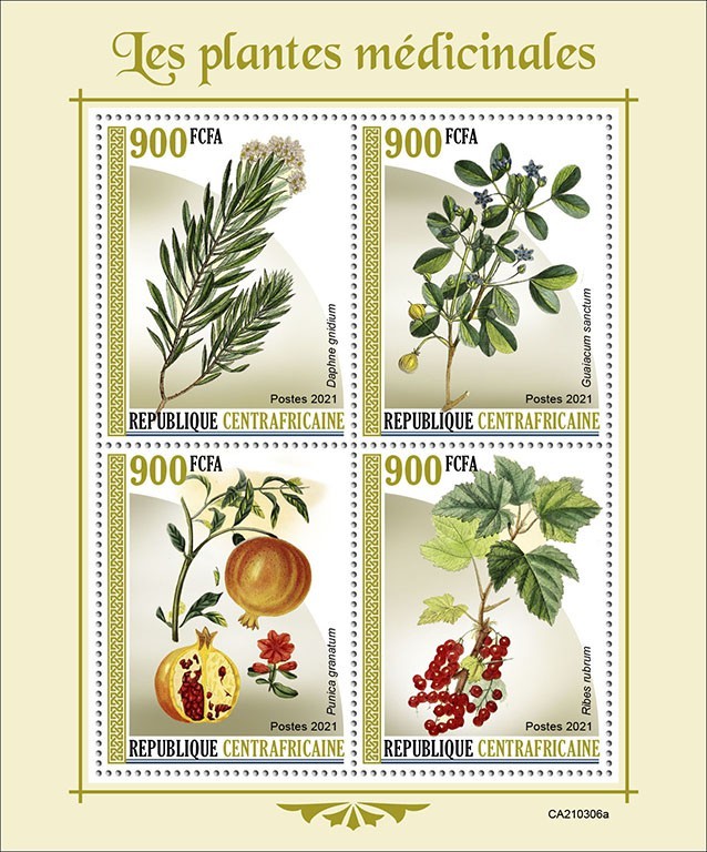 Medical plants
