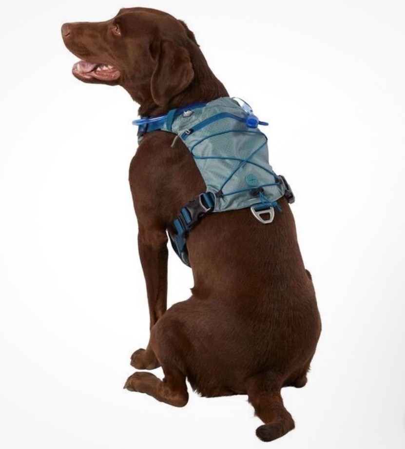 Arcadia Trail Water Bladder Harness Blue Small NWT