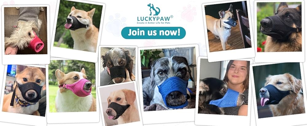 LUYPAW Soft Muzzle for Medium Lar Sized Dogs Beagle Labr rman