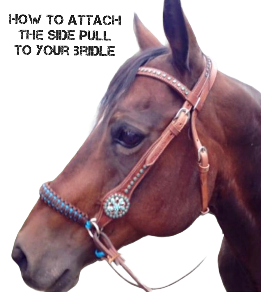side pull hackamore attachment turquoise And Brown Strap