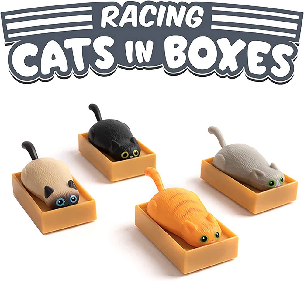 Racing Cats in Boxes - 4 Piece Set Bundle Set