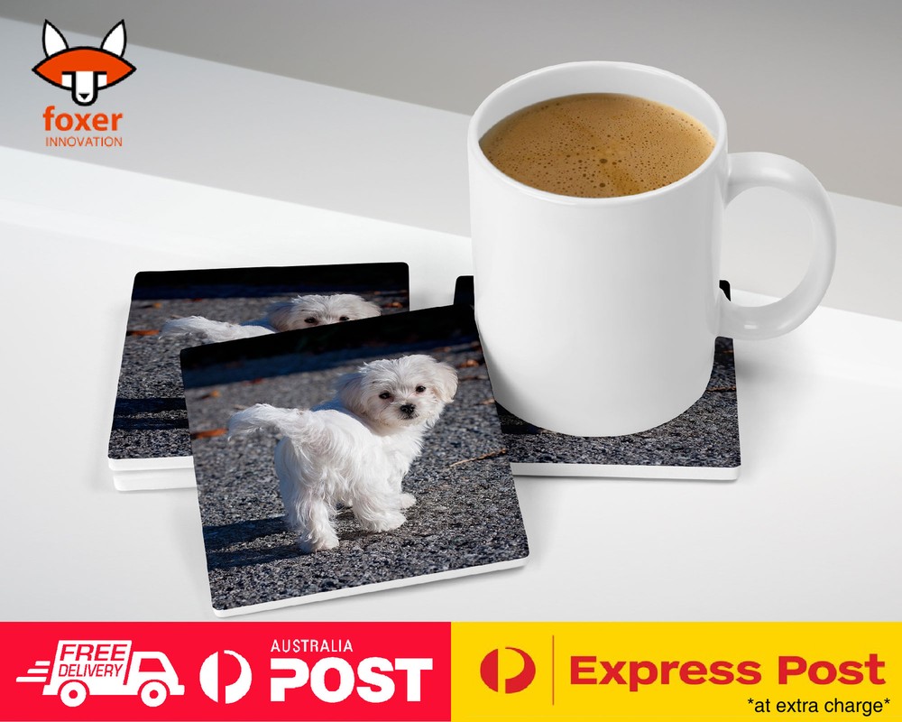 COASTER COFFEE DRINKING MAT|MALTESE DOG 7