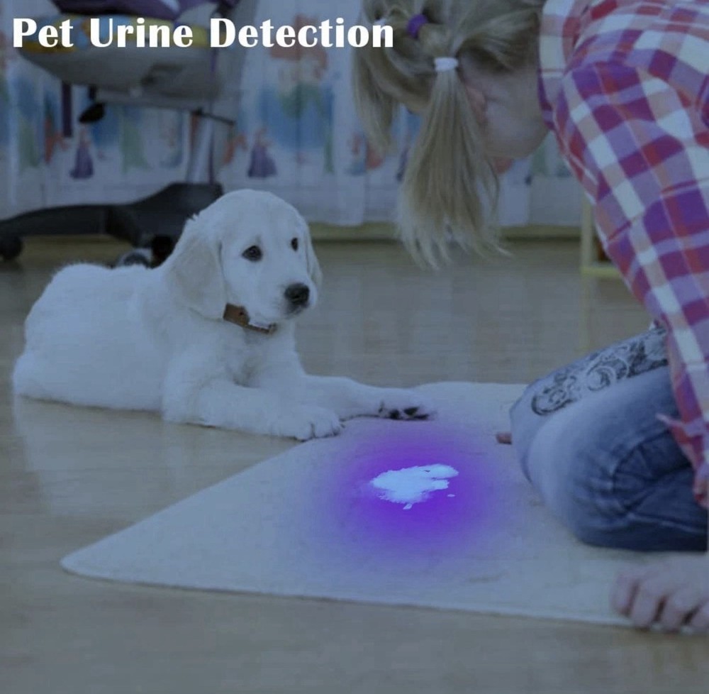 UV Flashlight Black Light–Small Portable Mini 12 LED Blacklight Box Damage
