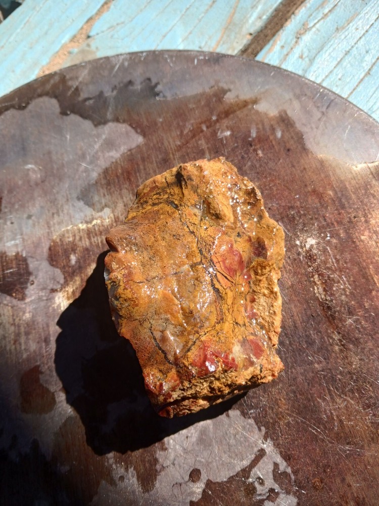 Jasper Agate With Silicized Veinlets Throughout Specimen Red Yellow Jasper