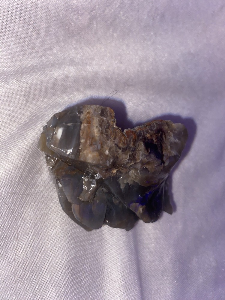 Petrified Wood