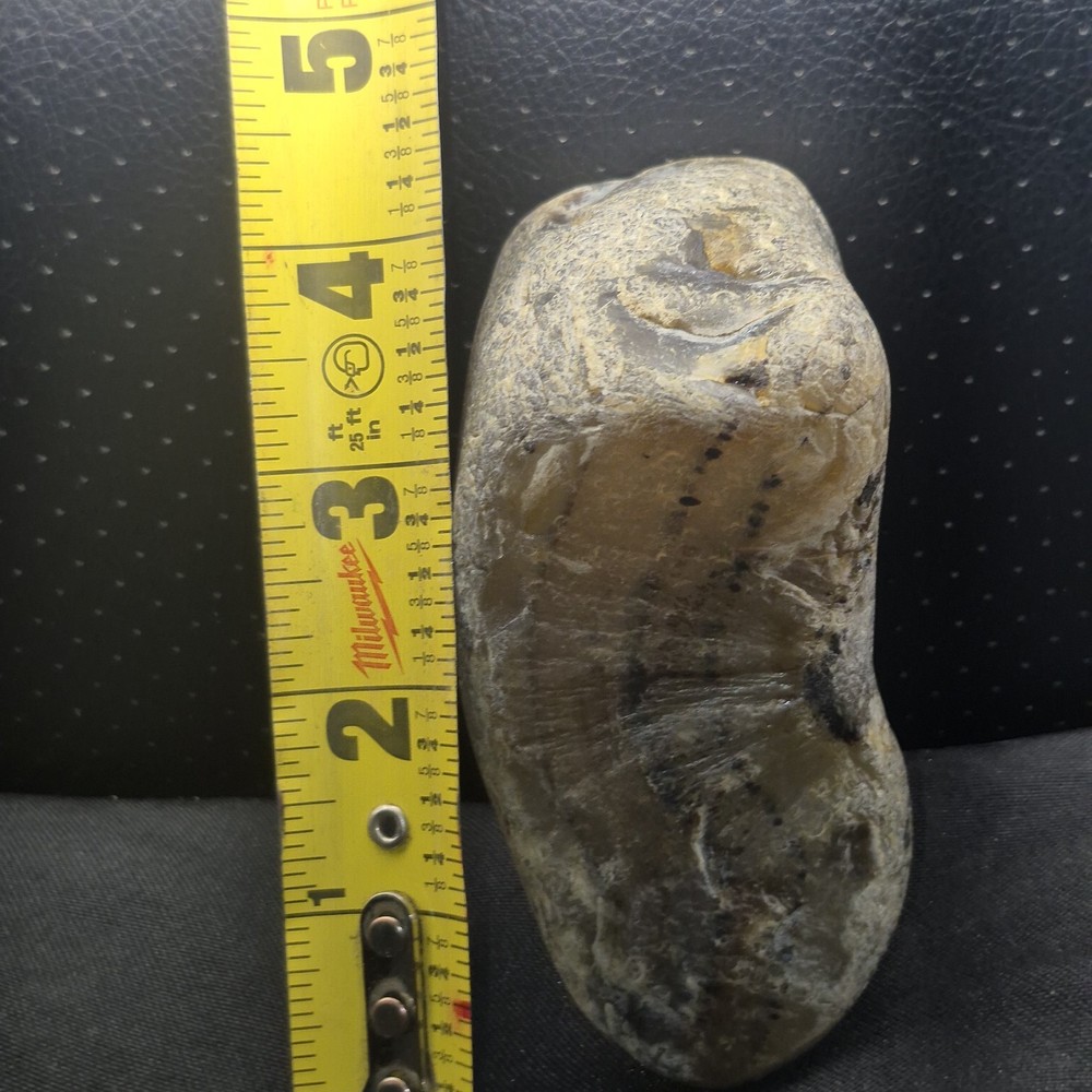 Montana Moss Agate