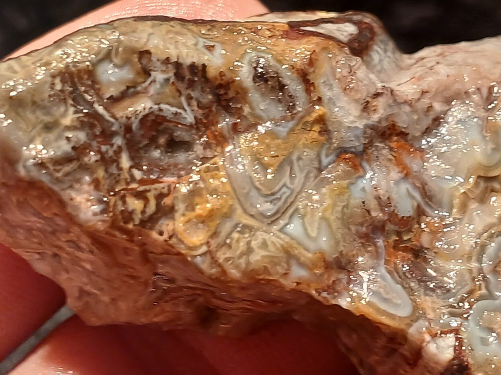 Laguna Lace Agate Rough End