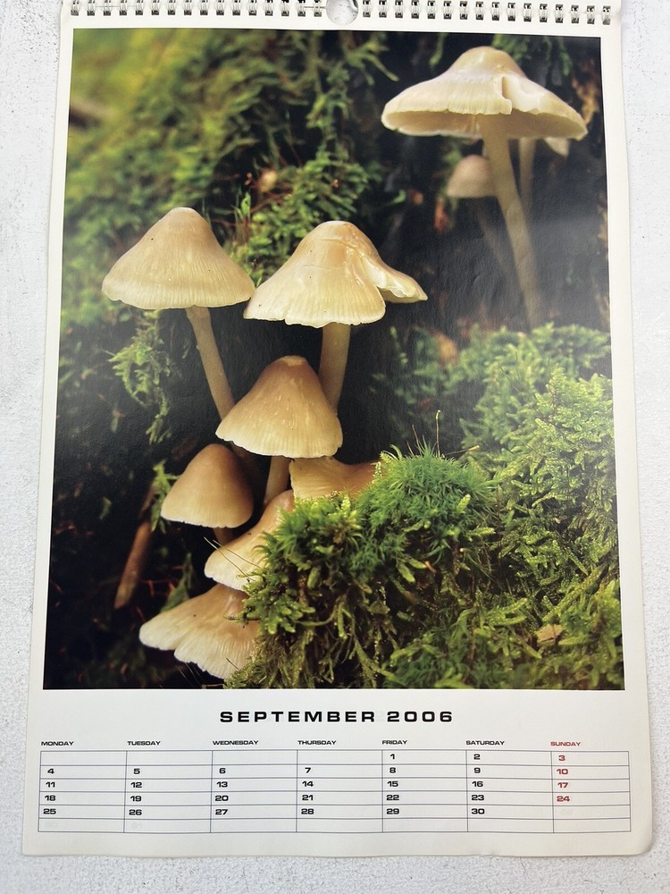 Magic Mushroom 2006 Popkorn Calendar