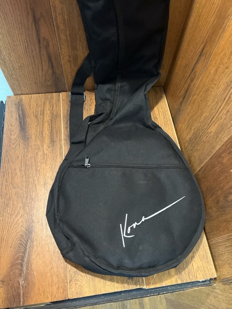 GUITAR CASE (PSC015316)