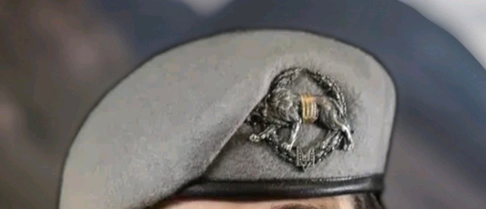 Cockade on beret, SOF, special operations forces, Ukraine.